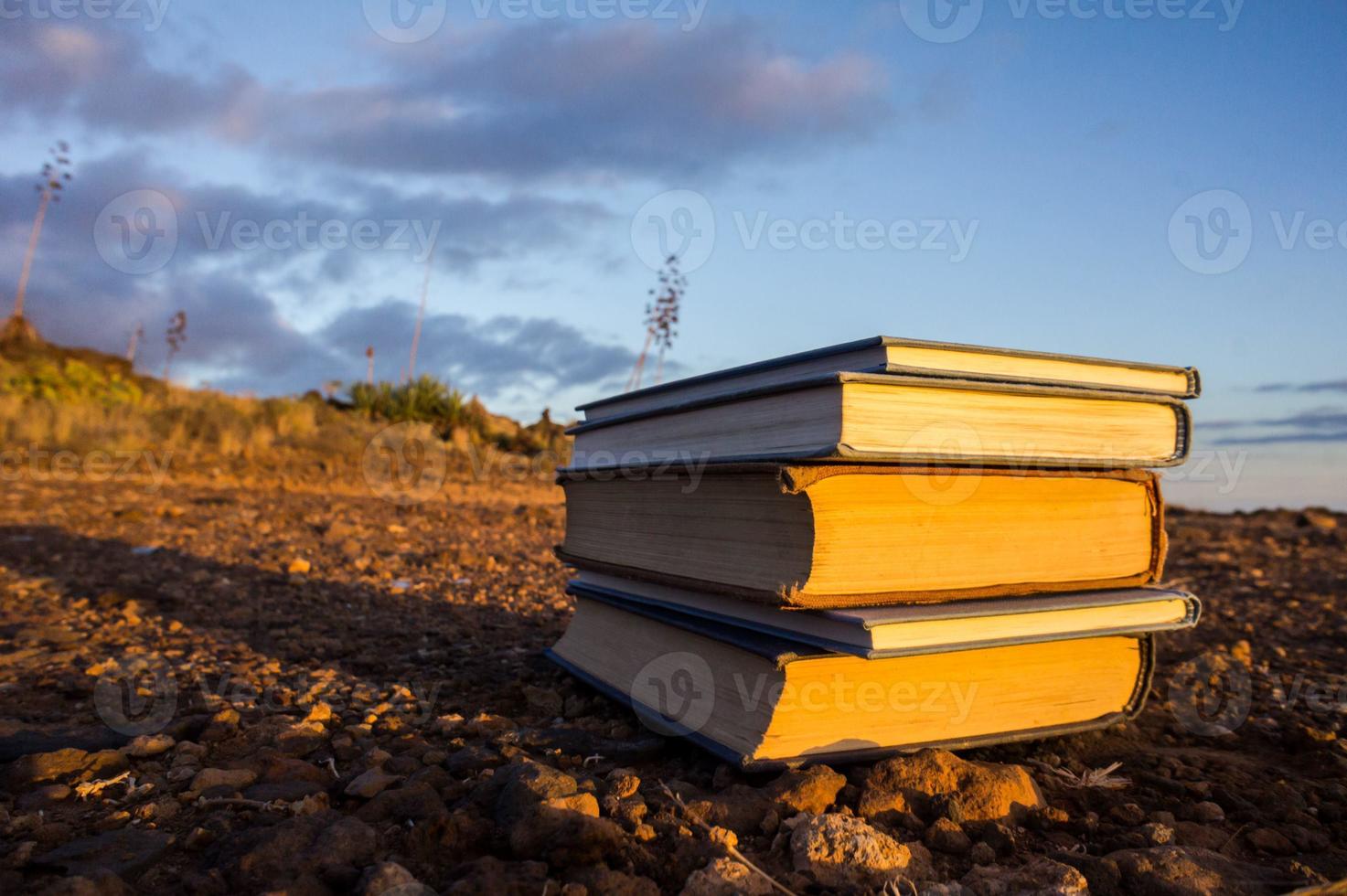 impilati libri su il terra foto