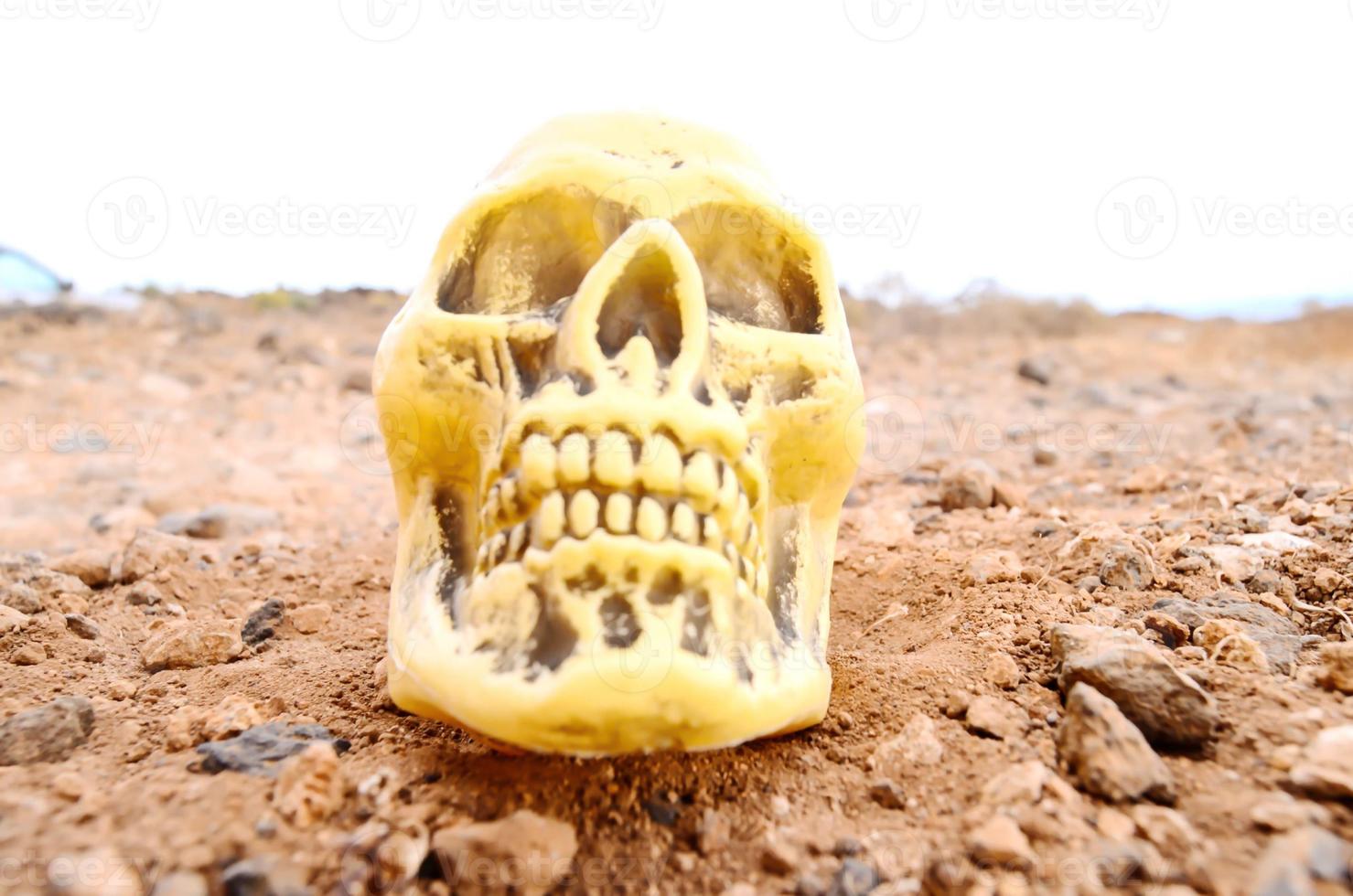 cranio miniatura su il terra foto