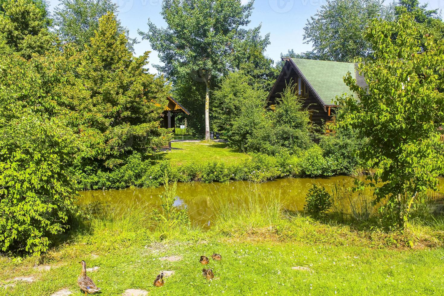 vacanza casa di legno Casa nel foresta di lago fiume Germania. foto