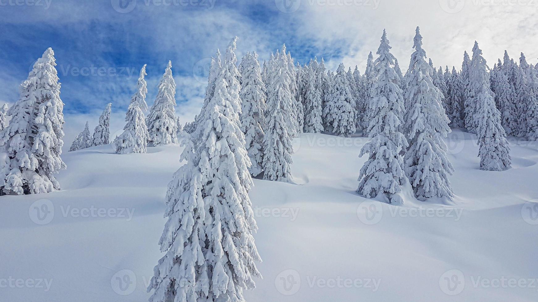 immagine di neve coperto alberi e intatto nevaio con blu cielo e perdere nuvole durante giorno foto