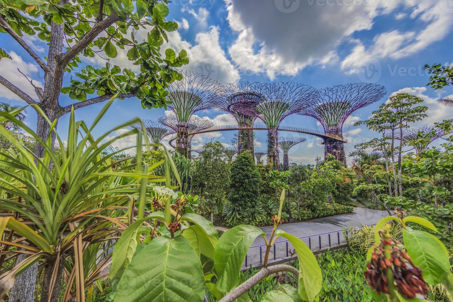 panoramico immagine a partire dal giardini di il baia nel Singapore durante giorno foto