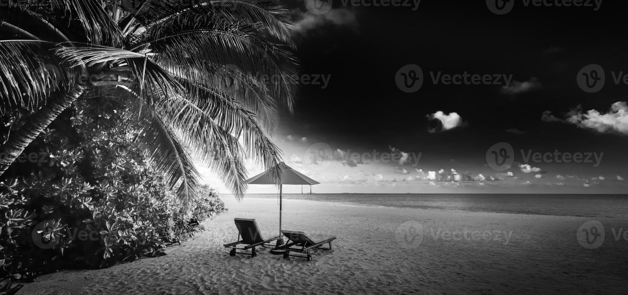 nero e bianca Visualizza di bellissimo spiaggia con palma albero foglie, drammatico buio cielo bianca morbido sabbia. esotico monocromatico panorama. coppia meditazione ispirazione paesaggio, Paradiso spiaggia tranquillo minimo foto