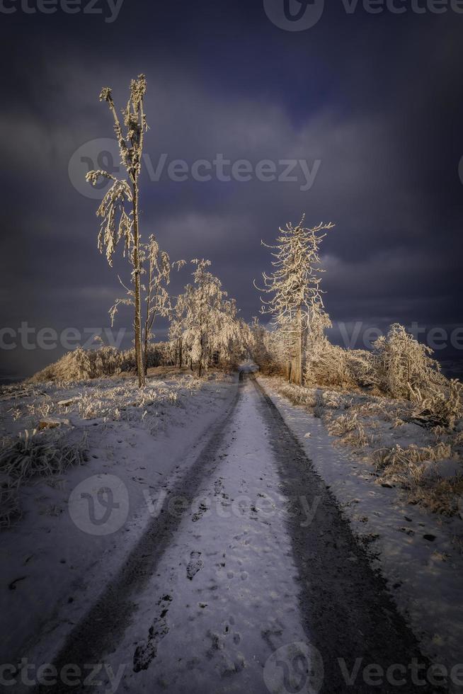 inverno foresta strada nel il montagne foto