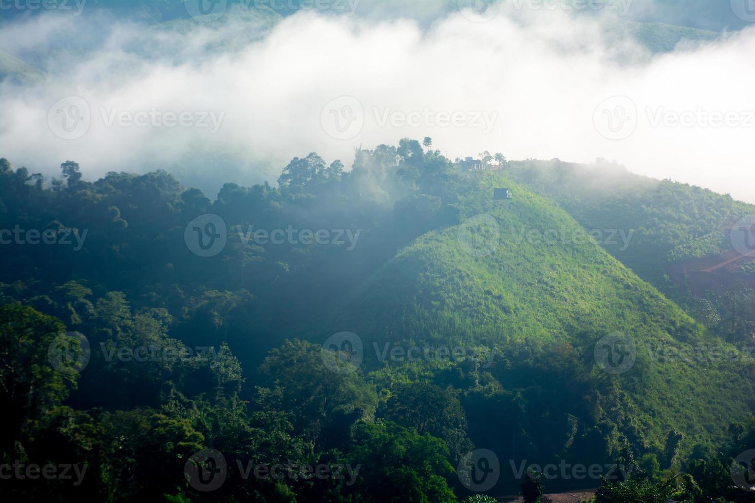 bellissimo montagne sotto nebbia nel il mattino, nebbia e nube tropicale paesaggio accogliente i viaggiatori. foto