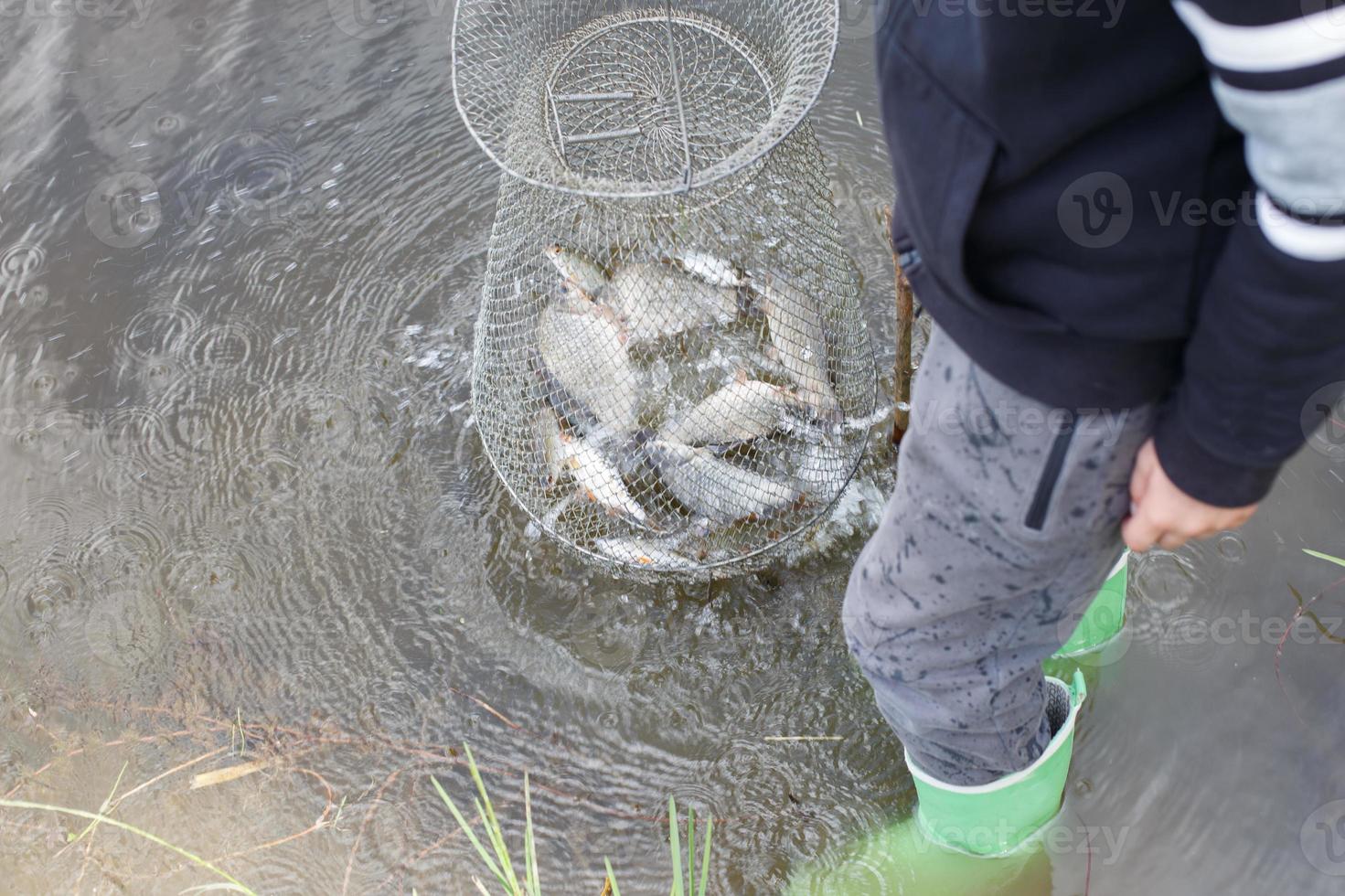 ragazzo bambino pescatore ascensori un' pesce rete. metallo maglia gabbia è installato nel il fiume acqua vicino il riva foto