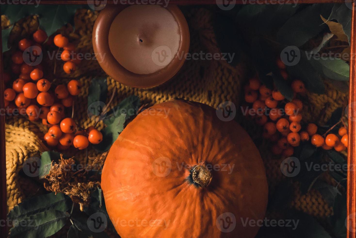 autunno foglie, caldo sciarpa e zucca su di legno tavola. superiore Visualizza. piatto posizione. foto