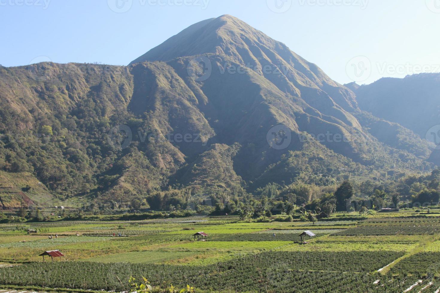 Visualizza di il sembalun villaggio di lombok, montare Rinjani, il colline di sembalun Lombok foto