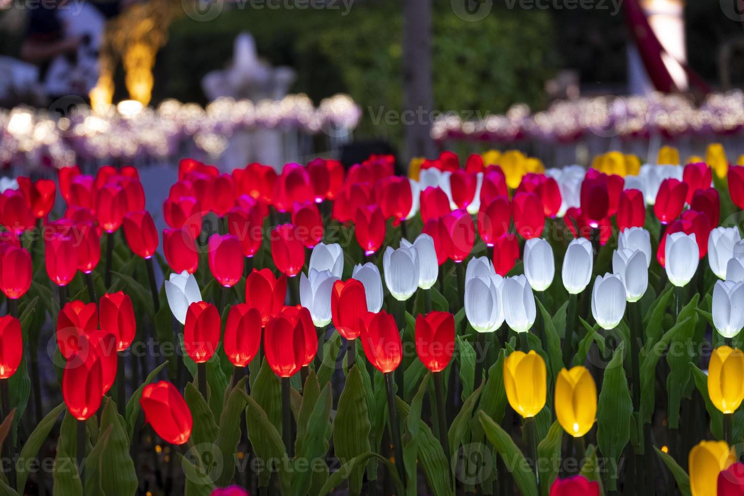 lanterna leggero Festival mostrare tulipani rosso e bianca falso fiore energia elettricità fluorescente aura splendore nel botanica giardino. foto