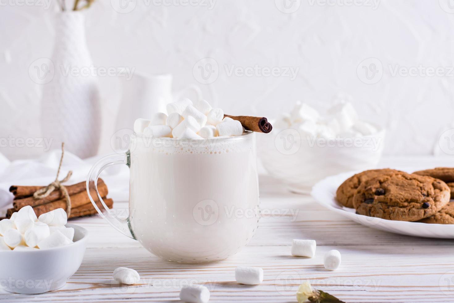 caldo cacao con marshmallows e cannella nel un' tazza e un' piatto di fiocchi d'avena biscotti su il tavolo. foto