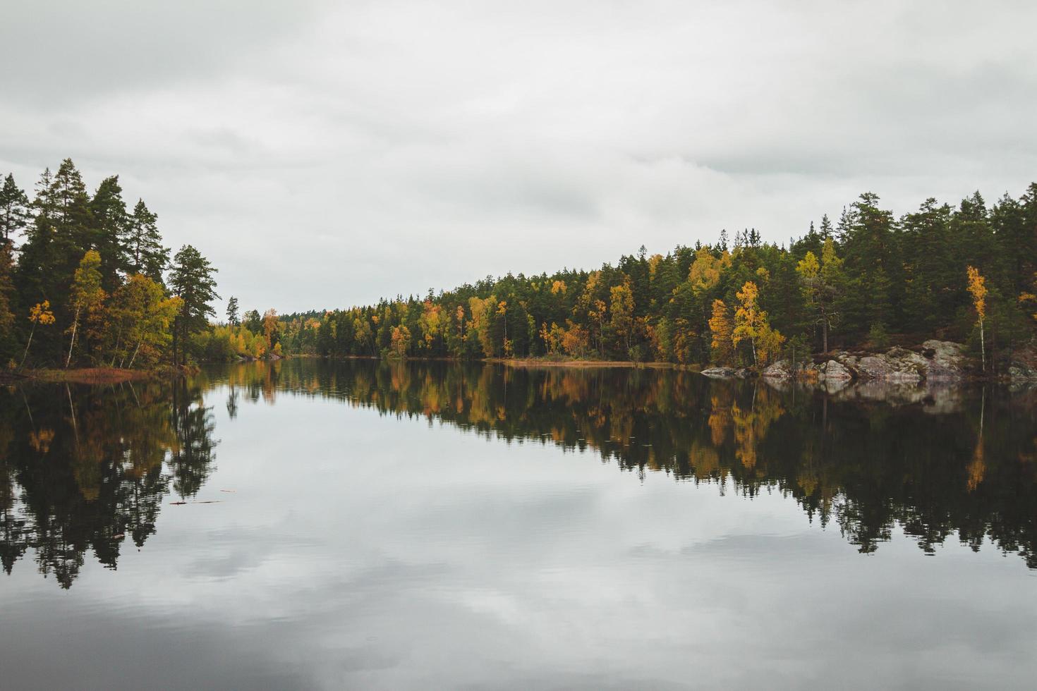 riflessi degli alberi nel fiume foto