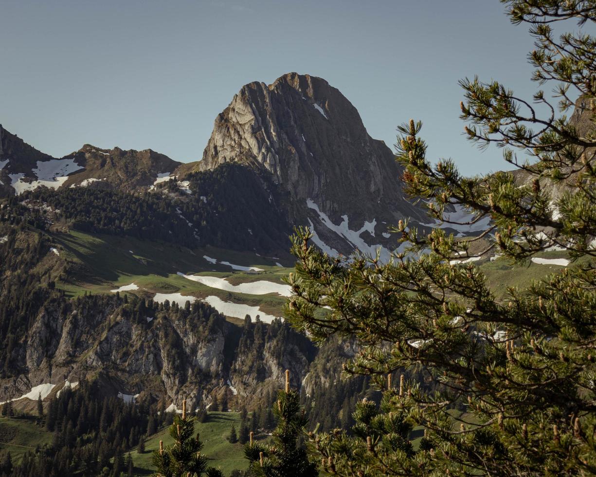 paesaggio di montagna in estate foto