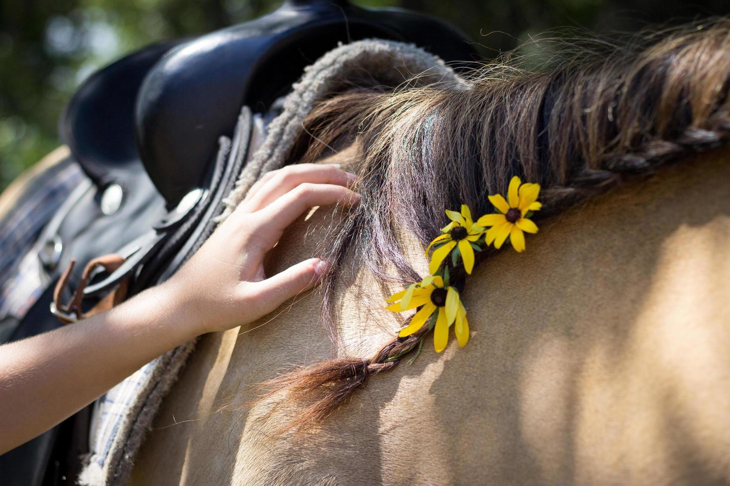 giovane ragazza che accarezza un cavallo foto