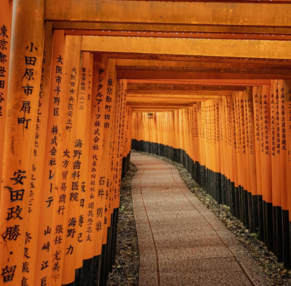torii gates a fushimi inari, kyoto, giappone foto