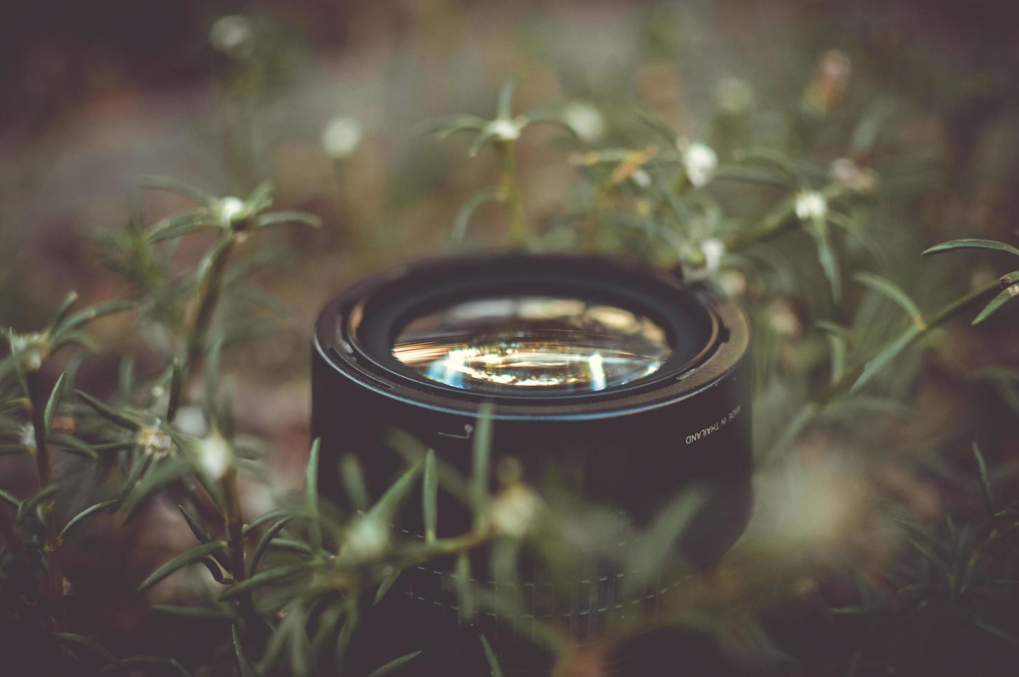 obiettivo della fotocamera circondato da erba verde all'aperto foto