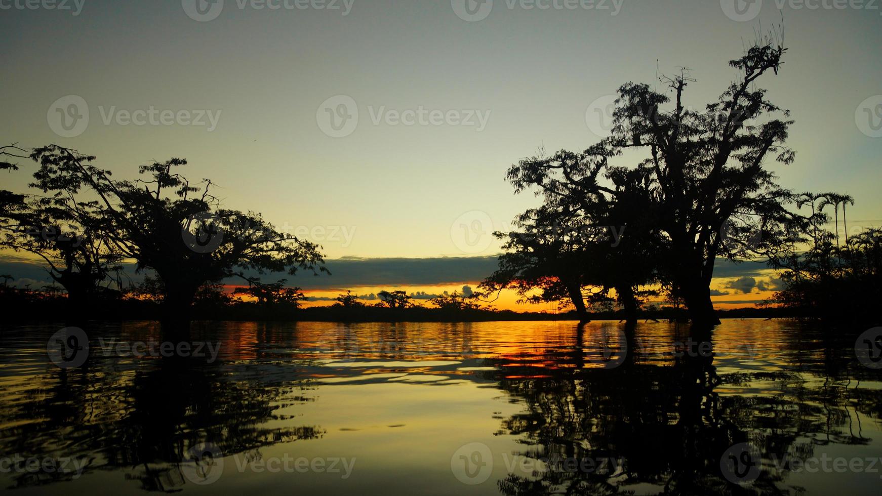 giallo tramonto nel il allagato foresta dentro cuyabeno laguna nel il ecuadoriano amazon foto