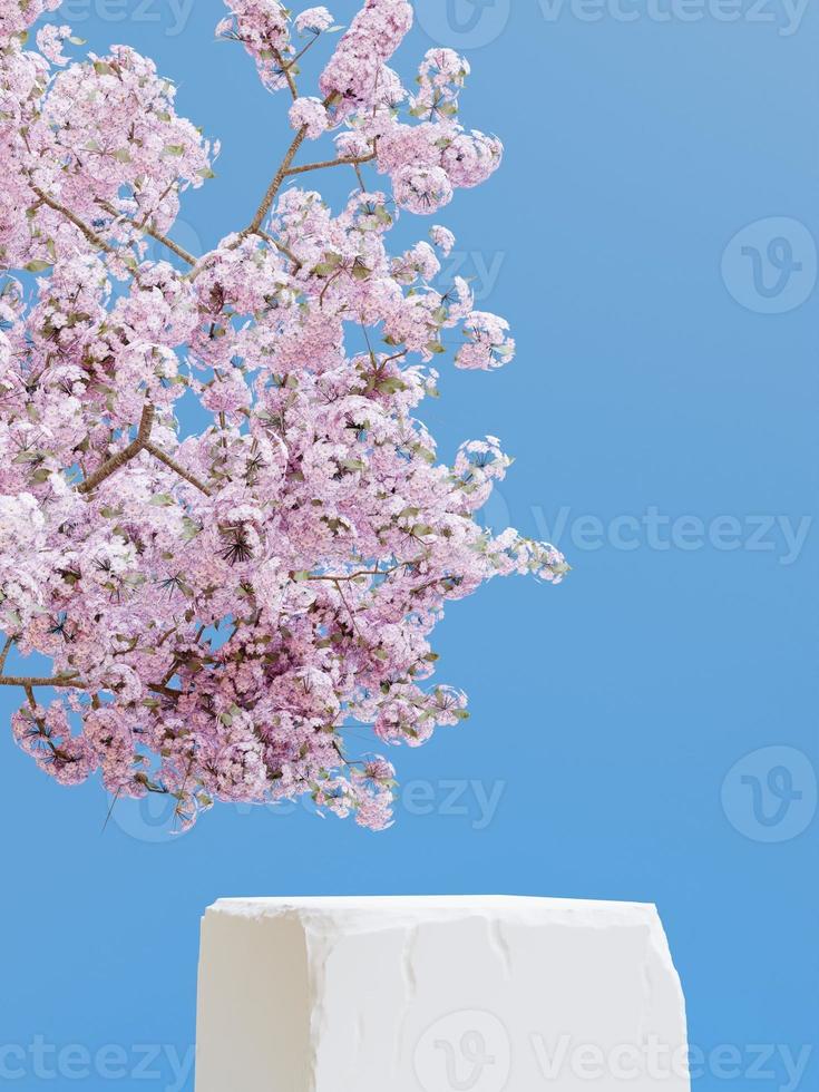 semplice minimalista pietra piazza podio e blu parete con ciliegia fiorire alberi, 3d rendere foto