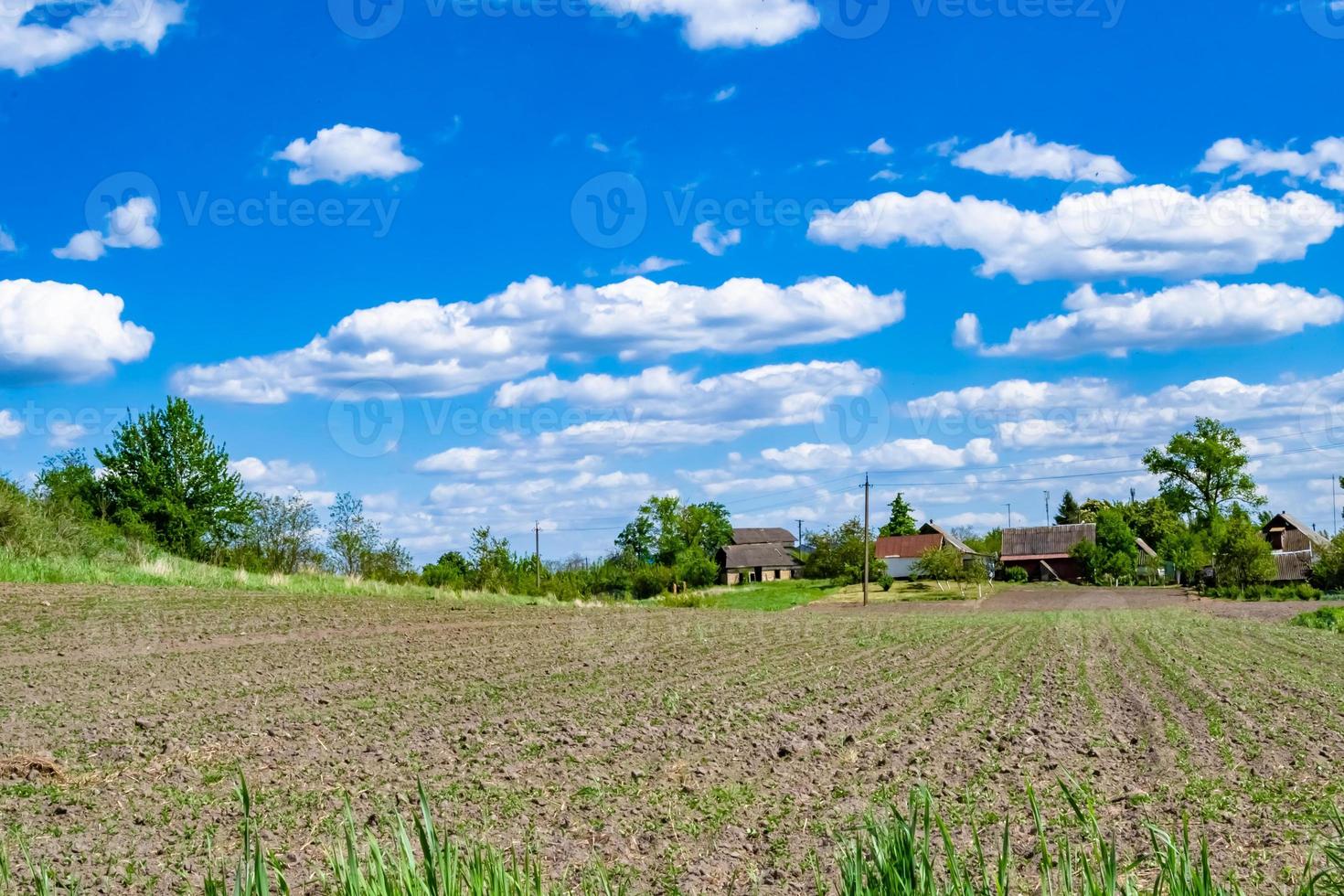 fotografia su tema grande vuoto azienda agricola campo per biologico raccogliere foto