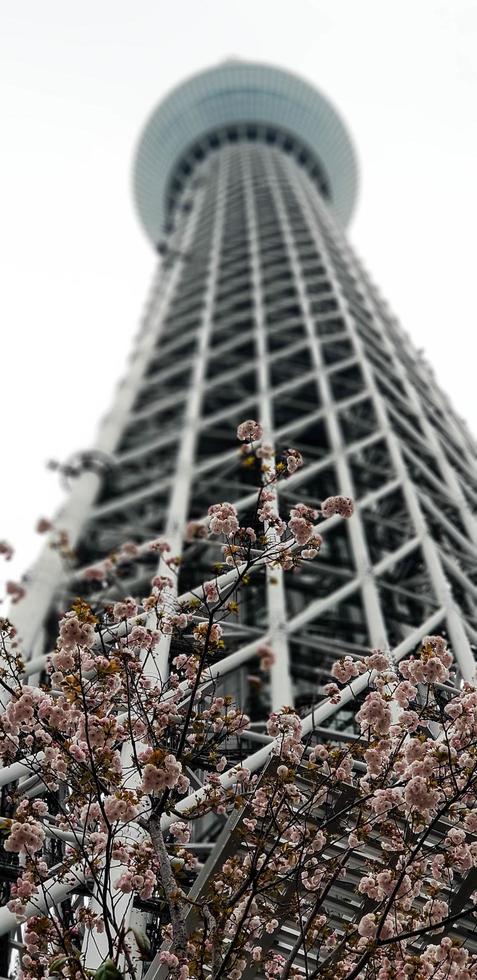 tokyo, Giappone nel luglio 2019. tokyo cielo albero precedentemente nuovo tokyo Torre è un' trasmissione, osservazione e ristorante Torre nel sumida foto