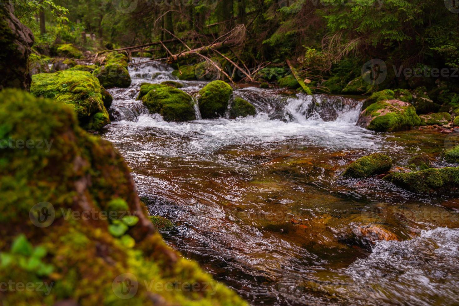 alto montagna selvaggio fiume nel nazionale parco foresta, pacifico autunno primavera paesaggio. acqua ruscello nel nazionale parco nel Polonia. inferiore alpino il trekking sentiero. foto