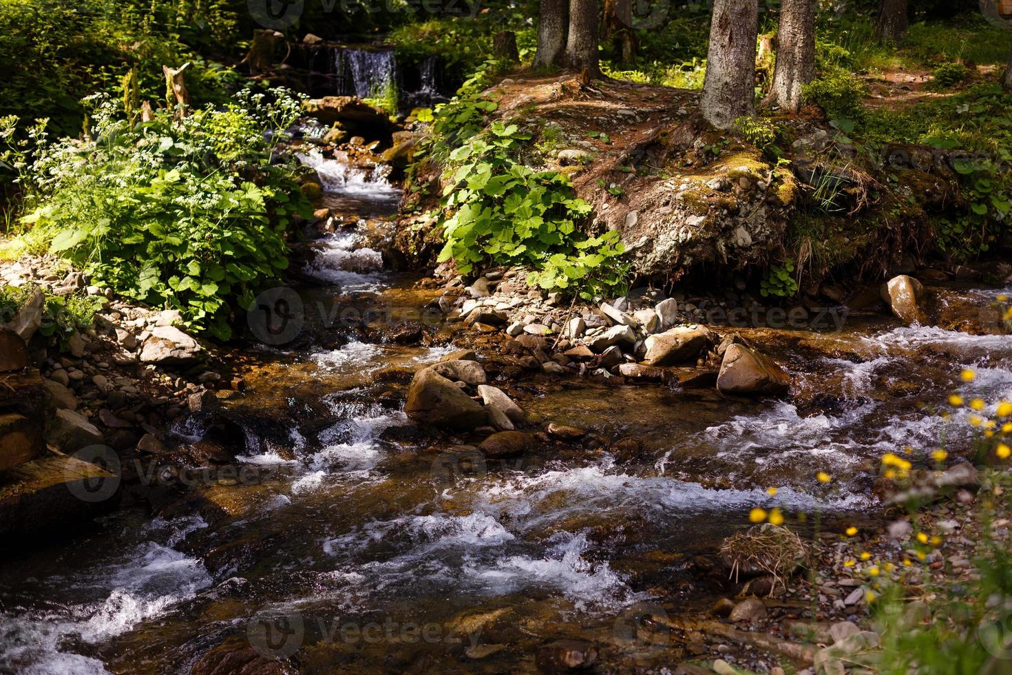 bellissimo paesaggio rapide su un' montagne fiume nel luce del sole. filtrato Immagine colorato effetto. foto