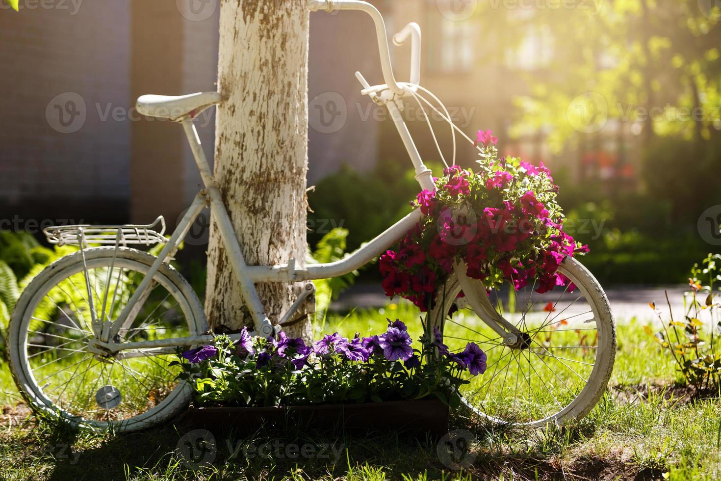 Vintage ▾ bicicletta su il campo con un' Borsa e cestino foto