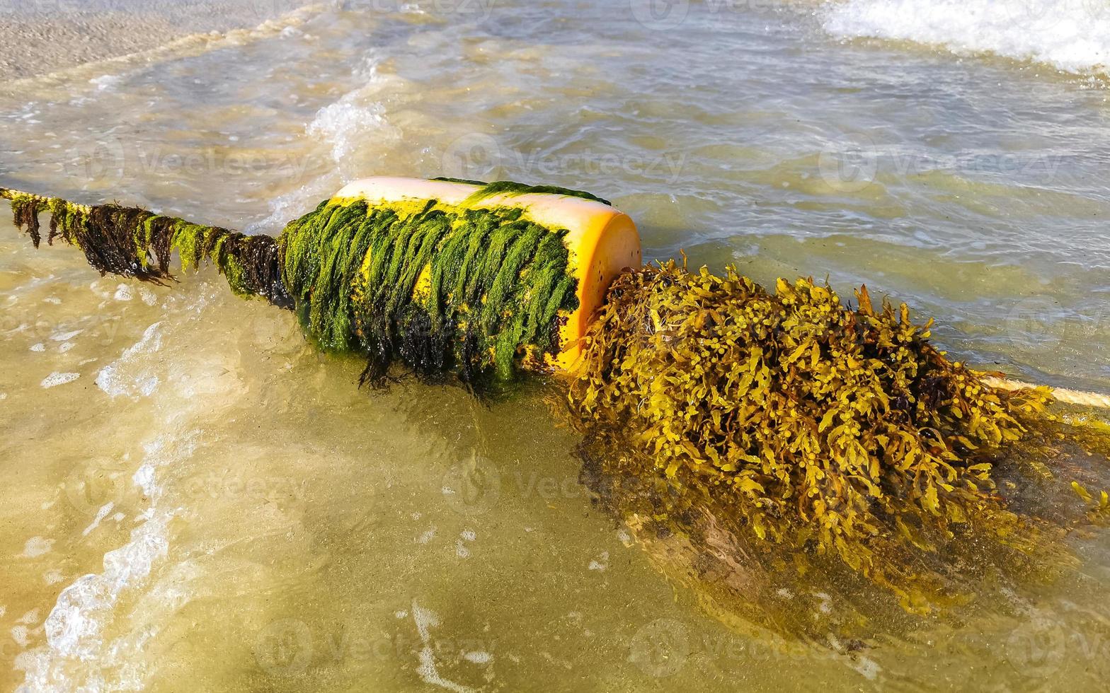 blu acqua onde e oceano con boa e corde Messico. foto