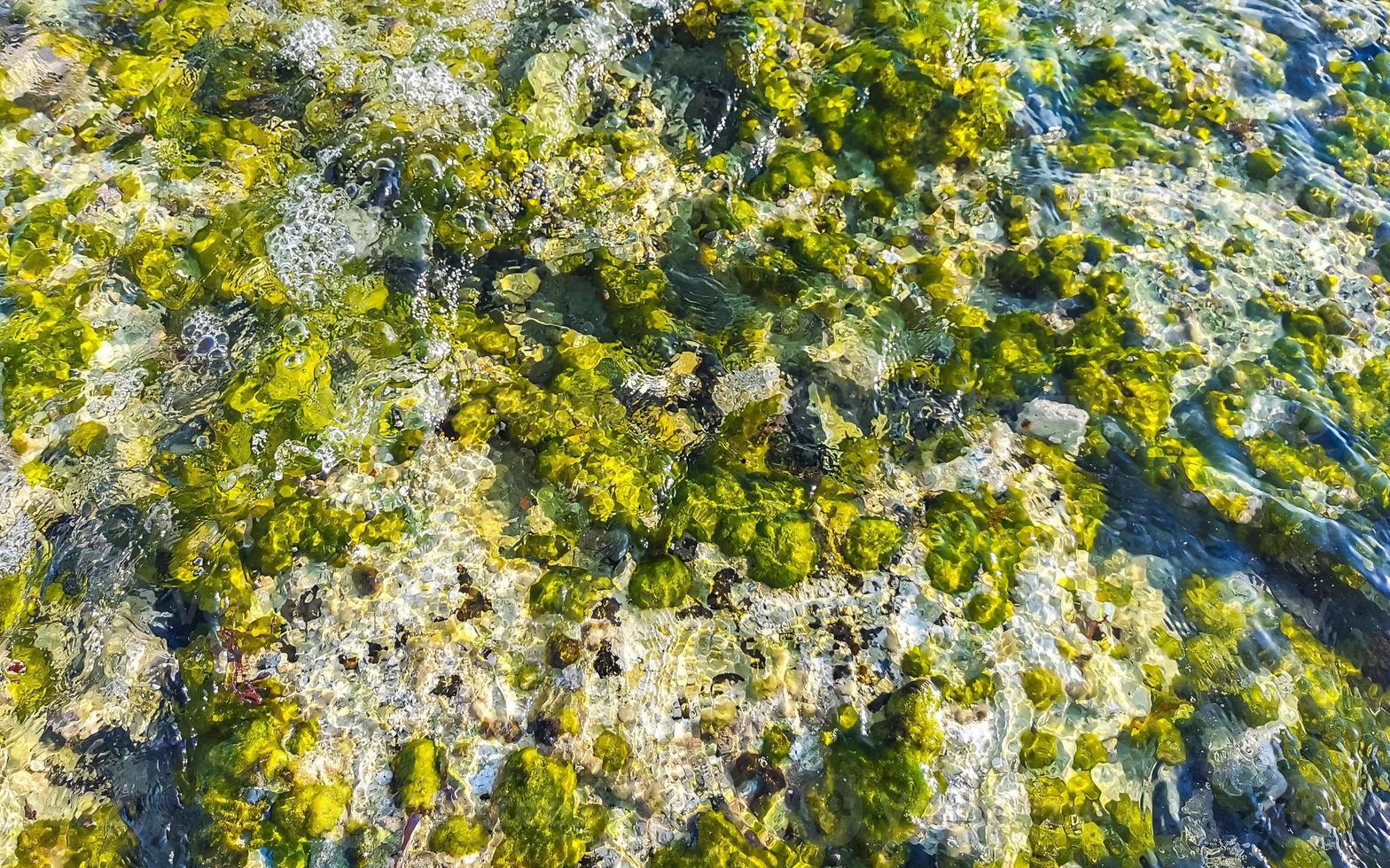 pietre rocce coralli turchese verde blu acqua su spiaggia Messico. foto