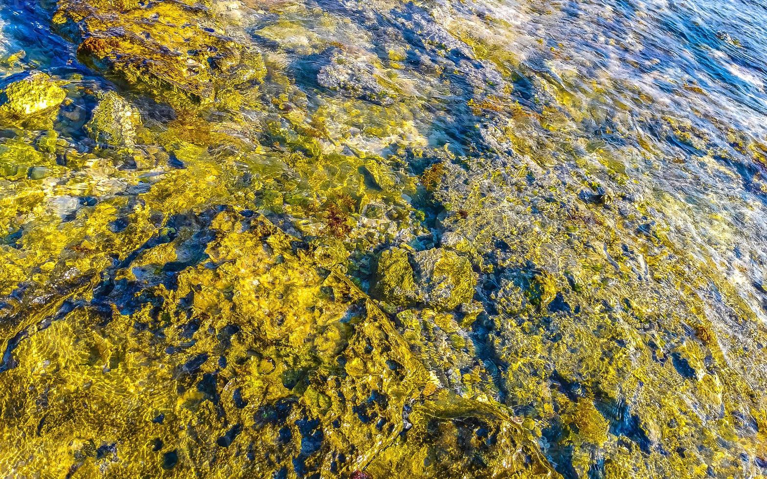 pietre rocce coralli turchese verde blu acqua su spiaggia Messico. foto