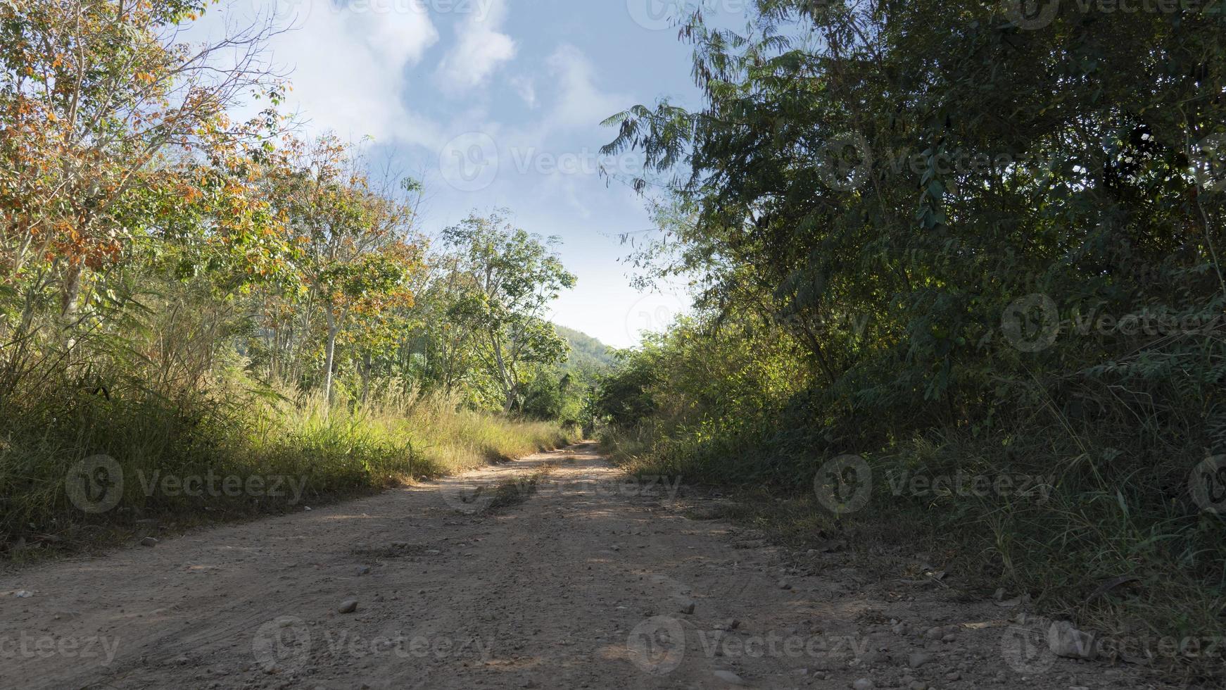 sentiero va dritto avanti su un' ghiaia strada. con alberi e erba su il lato di il strada. enorme montagne modulo il lontano sfondo sotto il blu cielo. foto