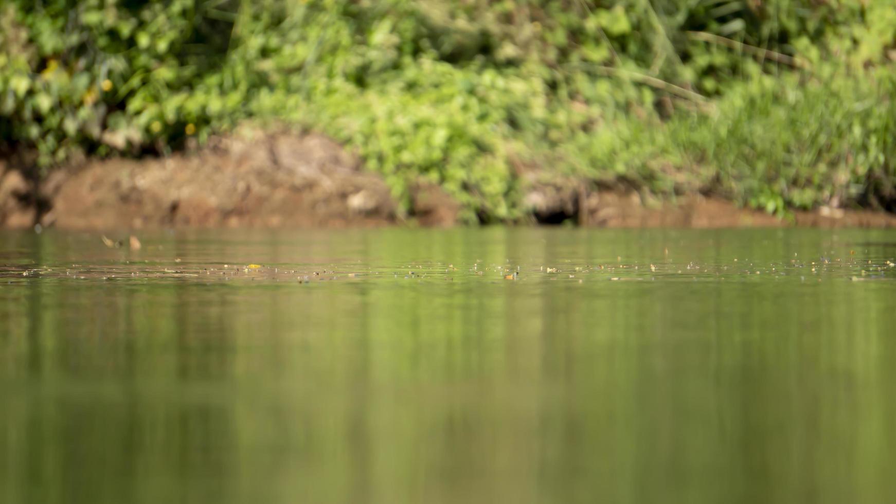 astratto superficie di acqua con riflessa luce. e sfondo di suolo e verde erba. foto