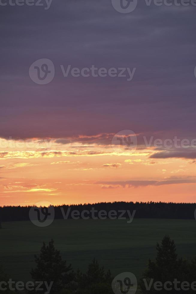 un' bellissimo tramonto sole e un' orizzonte con un' foresta. un' bellissimo campo e un' estate rosso tramonto. foto