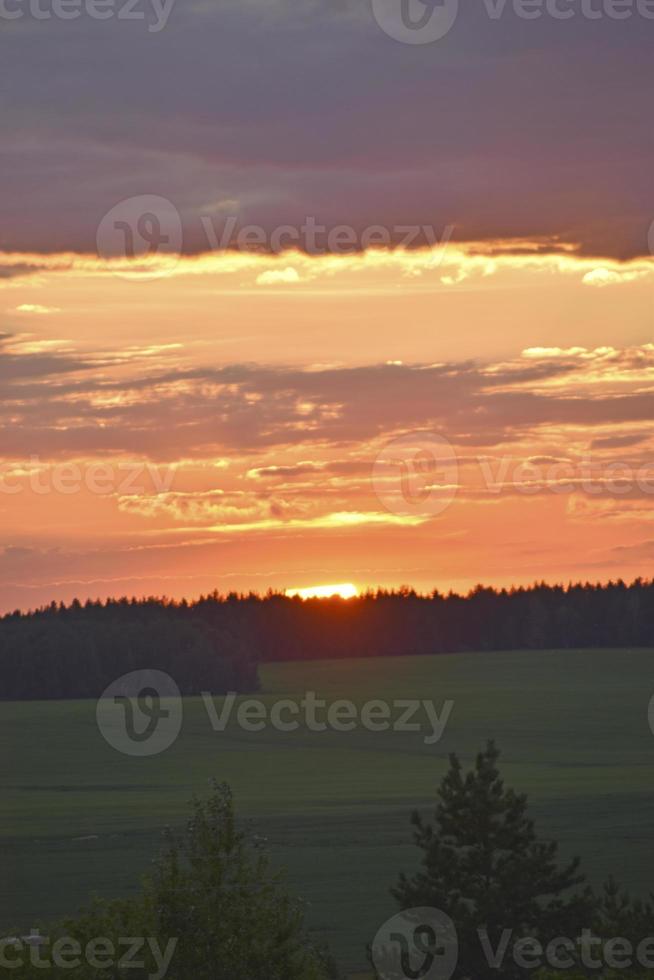 un' bellissimo tramonto sole e un' orizzonte con un' foresta. un' bellissimo campo e un' estate rosso tramonto. foto