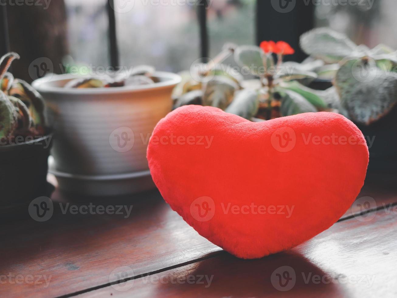 rosso cuore cuscino su giardino sfondo. San Valentino giorno concetto. foto