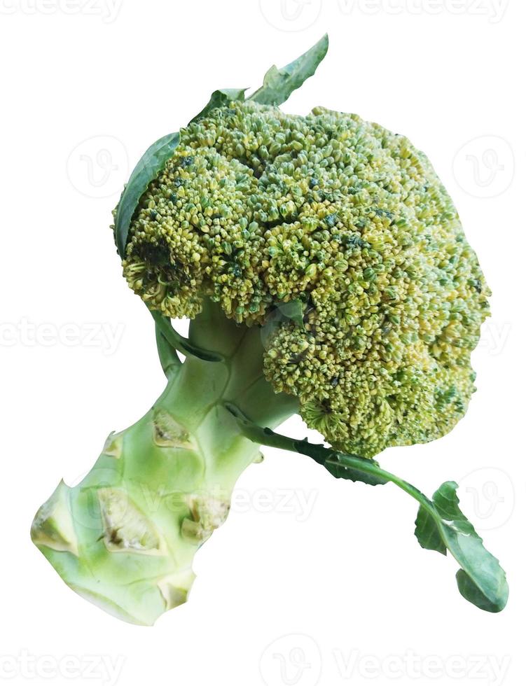 broccoli isolato su sfondo bianco foto