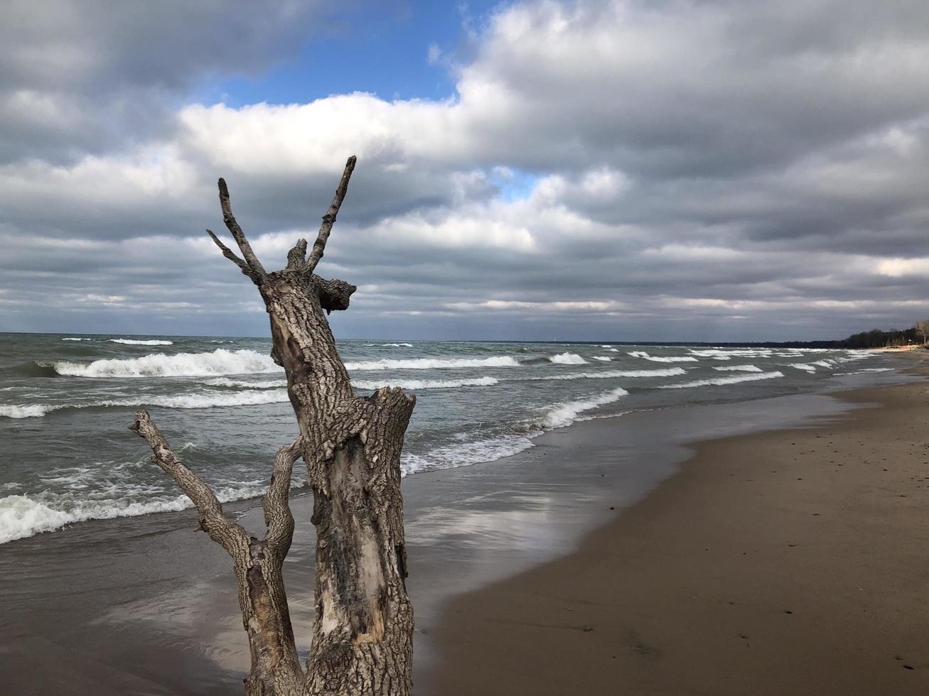 spiaggia litorale cielo foto