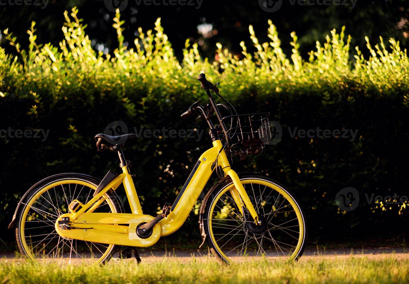 elettrico bicicletta, giallo elettro bicicletta nel parco foto