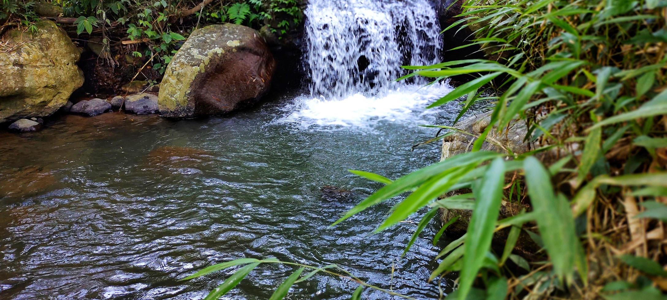 mini cascata nel naturale fiume con grande rocce e verde impianti su il banche. foto