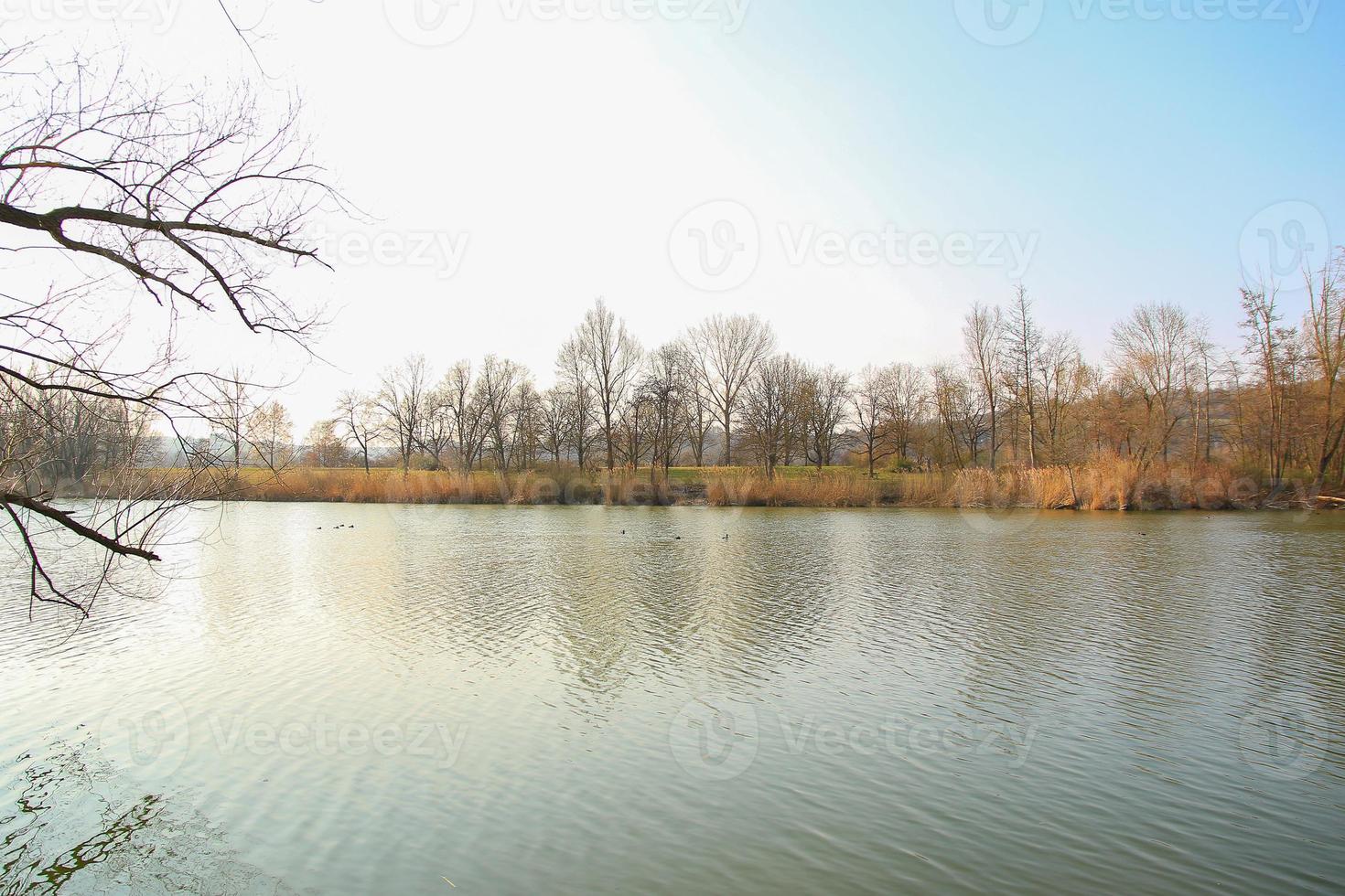 autunno natura con alberi e fiume acqua con riflessione foto