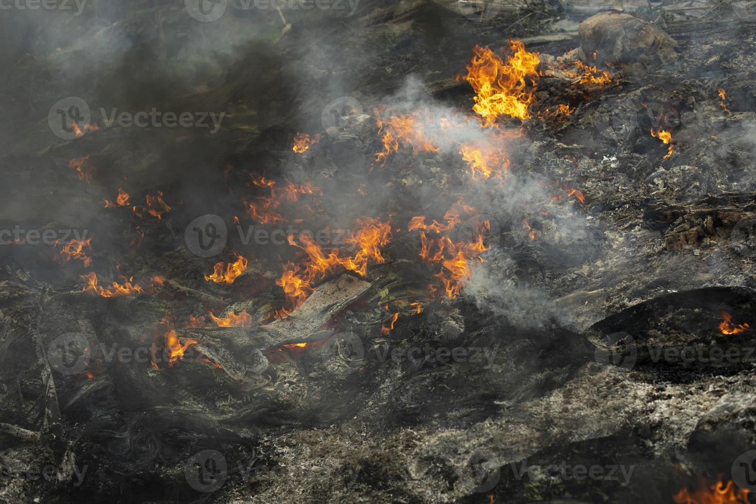 ardente di spazzatura. impostato fuoco per illegale discarica. fiamme e Fumo. foto