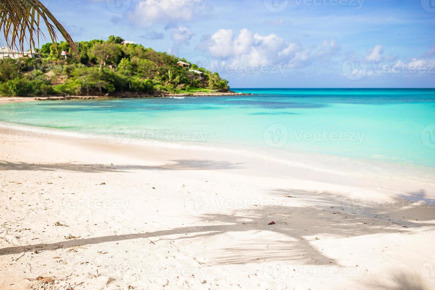 idilliaco tropicale spiaggia nel caraibico con bianca sabbia, turchese oceano acqua e blu cielo foto