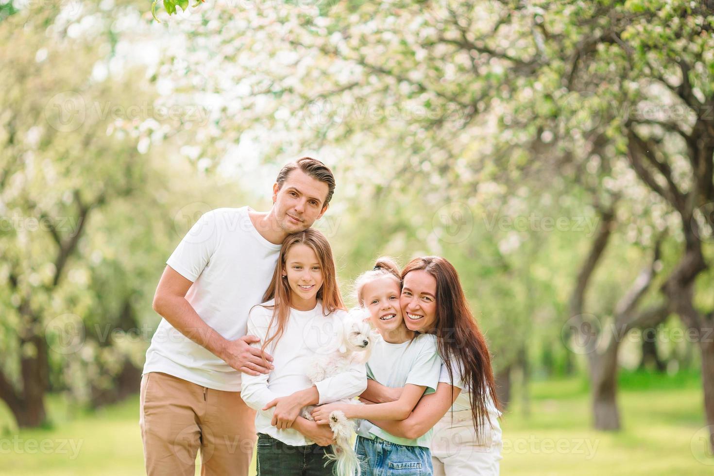 adorabile famiglia nel fioritura ciliegia giardino su bellissimo primavera giorno foto