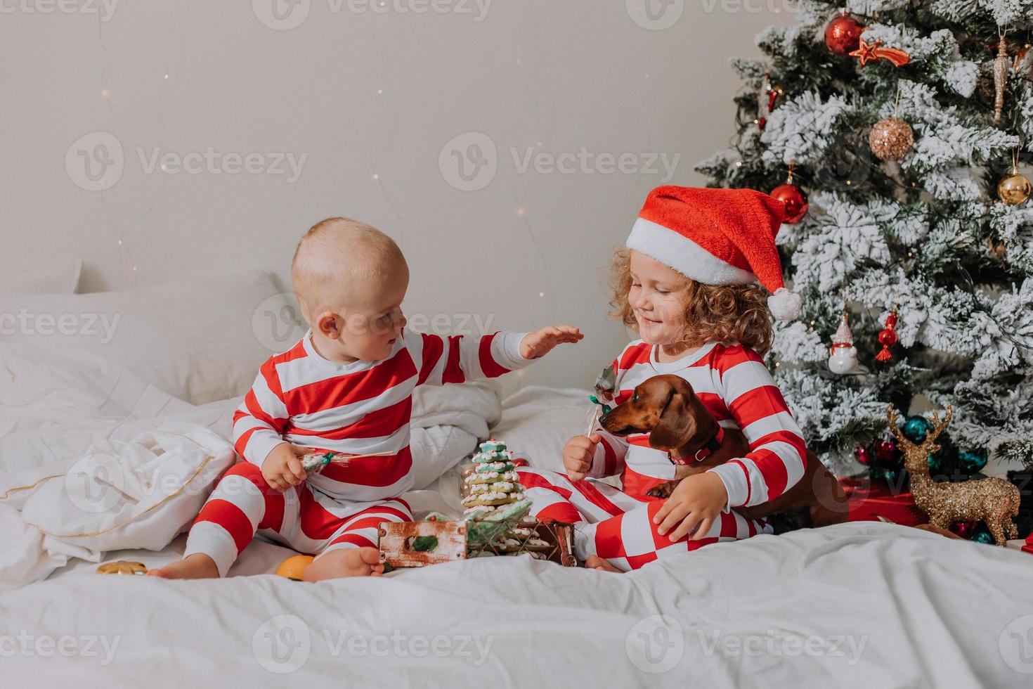 bambini nel rosso e bianca pigiama mangiare Natale dolci seduta nel letto. fratello e sorella, ragazzo e ragazza Condividere i regali. Natale mattina. stile di vita. spazio per testo. alto qualità foto