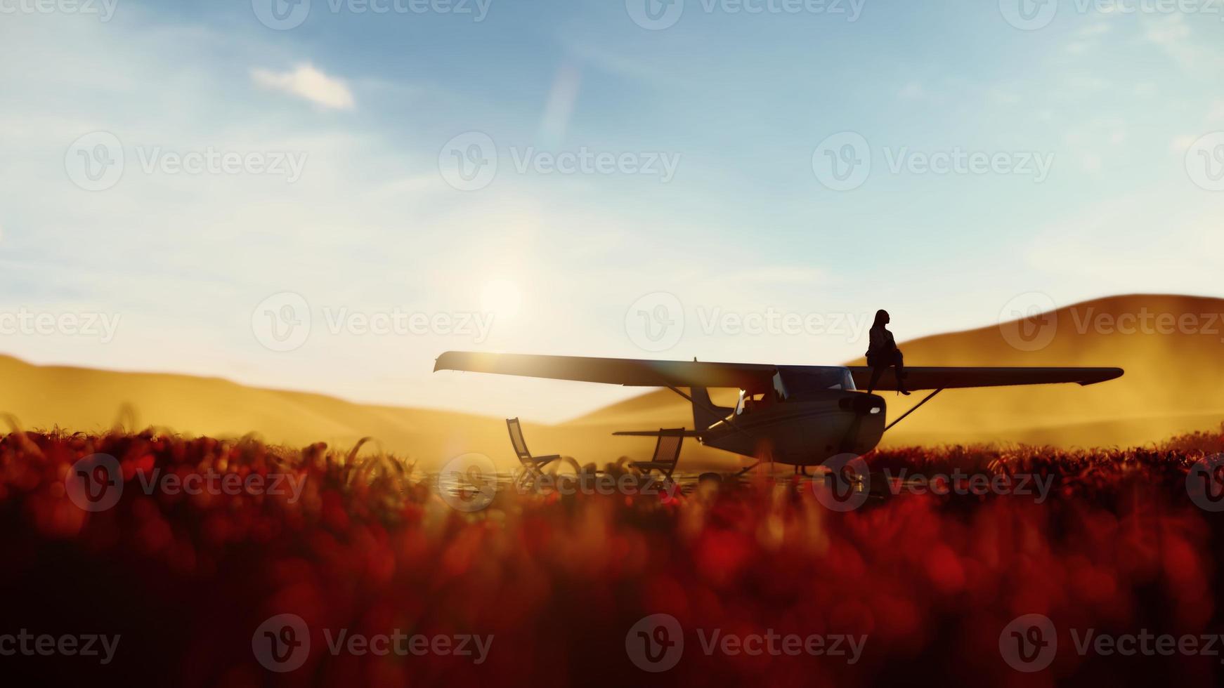 silhouette donna seduta su aereo ala,3d resa. foto