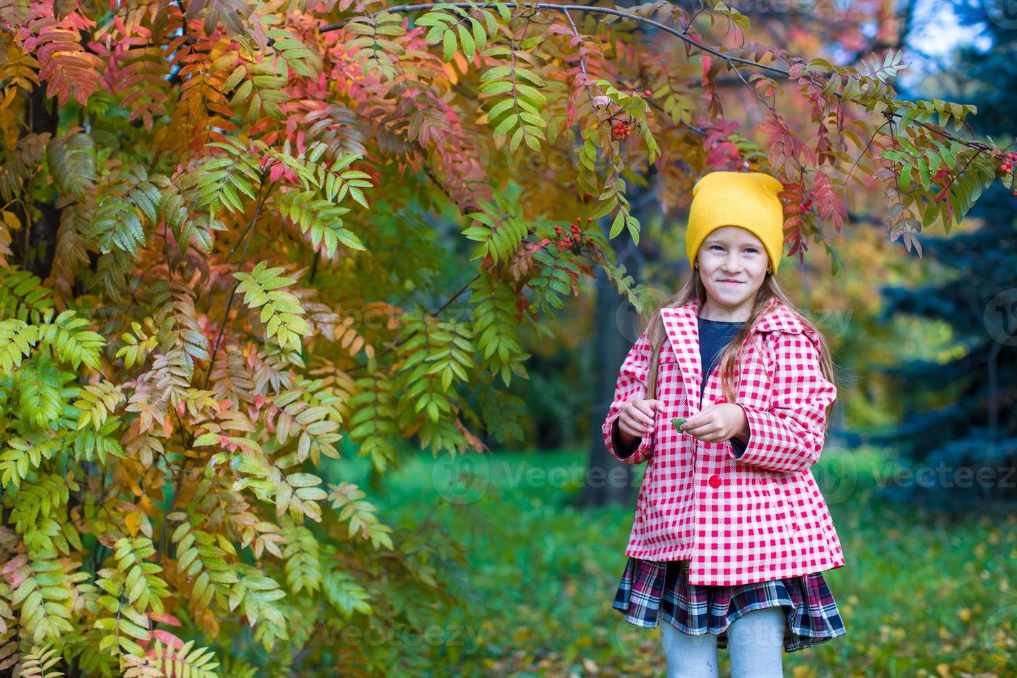 adorabile poco ragazza a bellissimo autunno giorno all'aperto foto