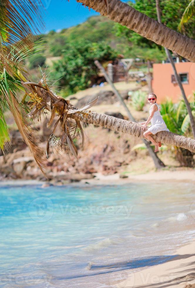 adorabile poco ragazza seduta su palma albero durante estate vacanza su bianca spiaggia foto