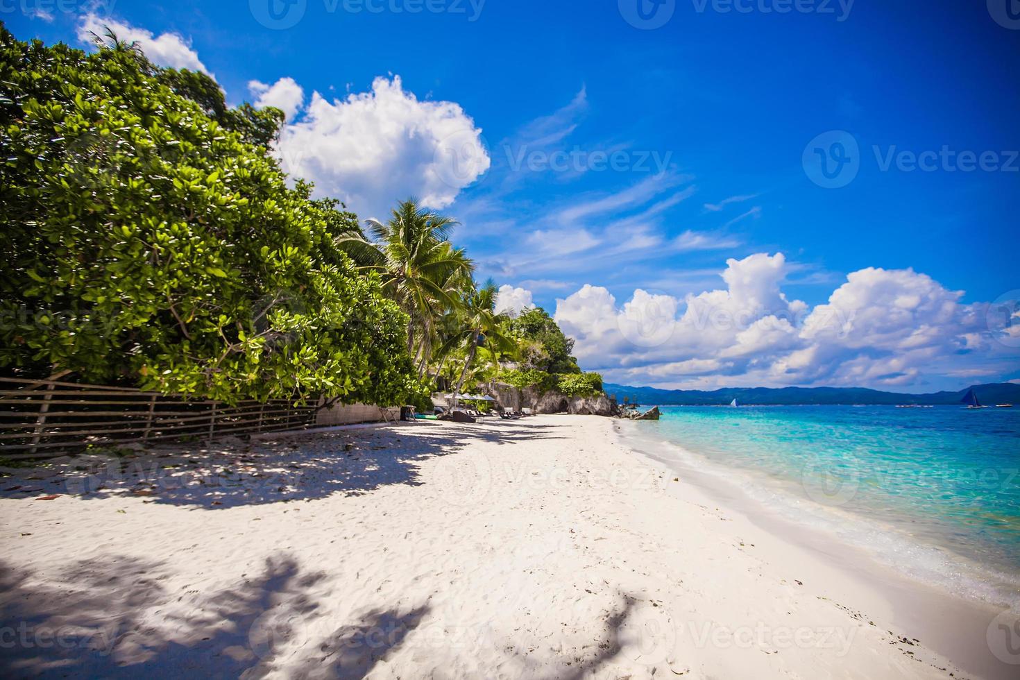 Perfetto bianca spiaggia con verde palme e turchese acqua foto