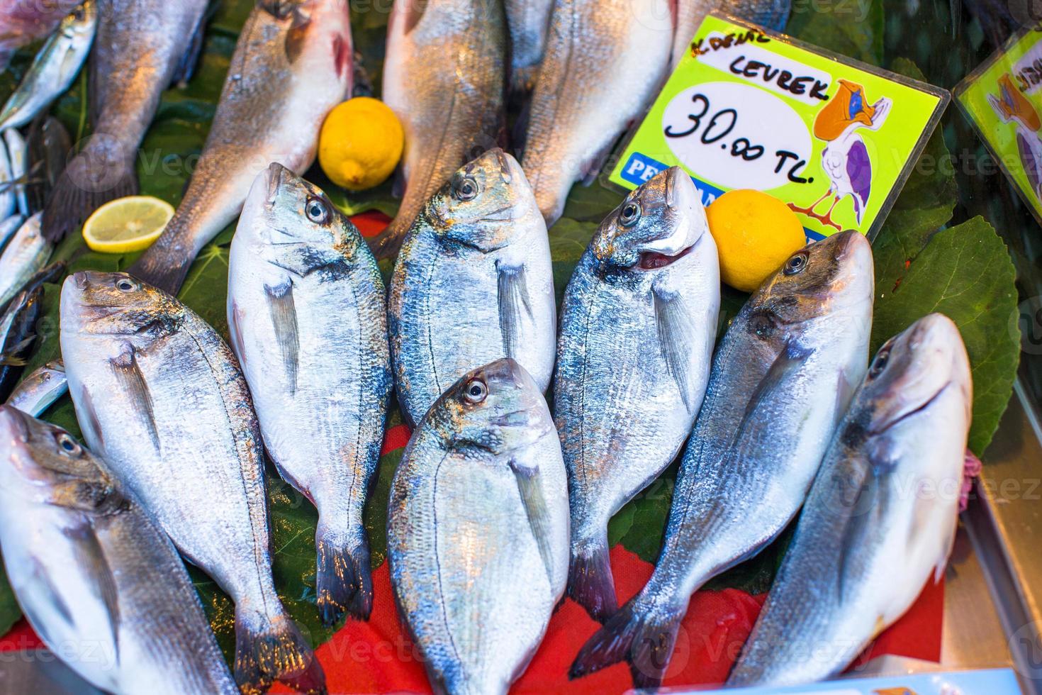 pesce mercato con fresco mare Pesci foto