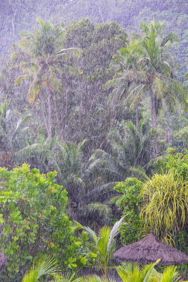 forte tropicale pioggia nel il Seychelles foto