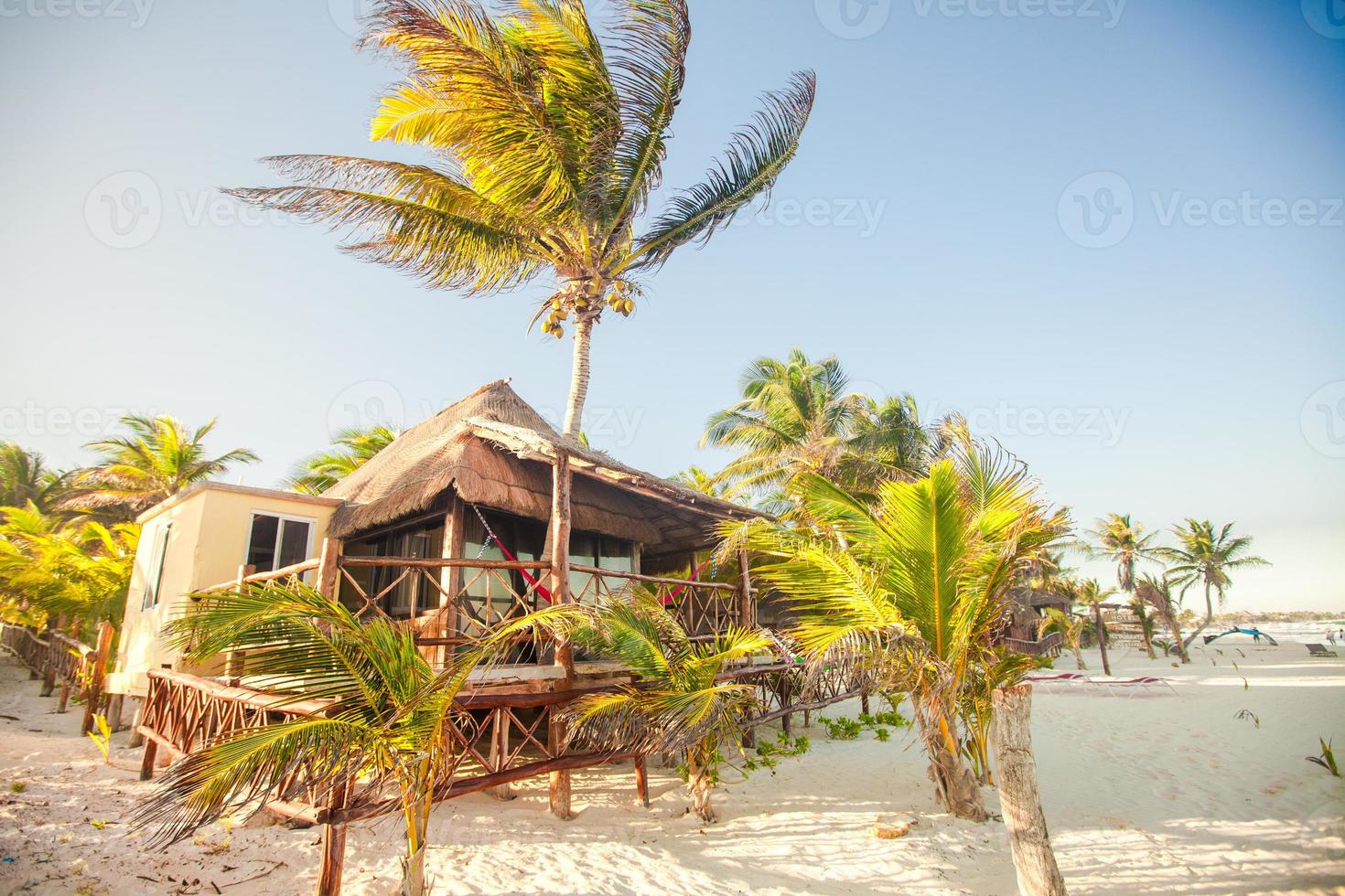 tropicale spiaggia bungalow su oceano riva tra palma alberi foto