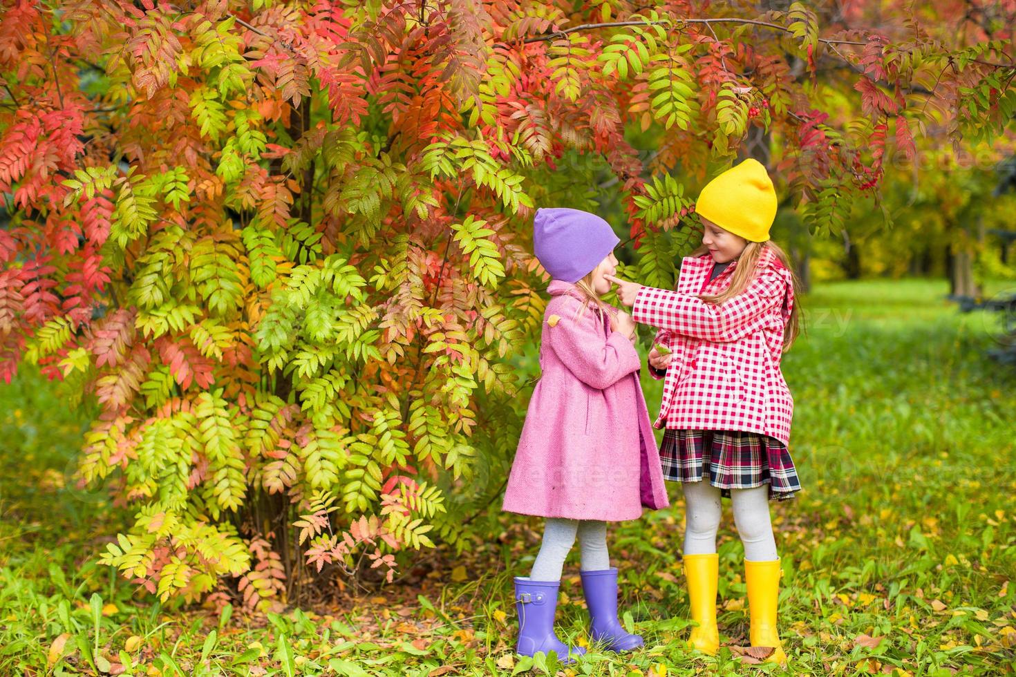 Due adorabile ragazze nel foresta a caldo soleggiato autunno giorno foto